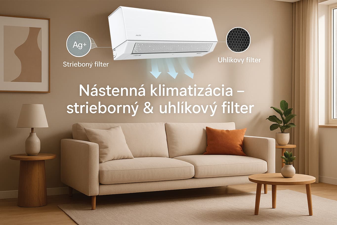 C smart Lite (1)
